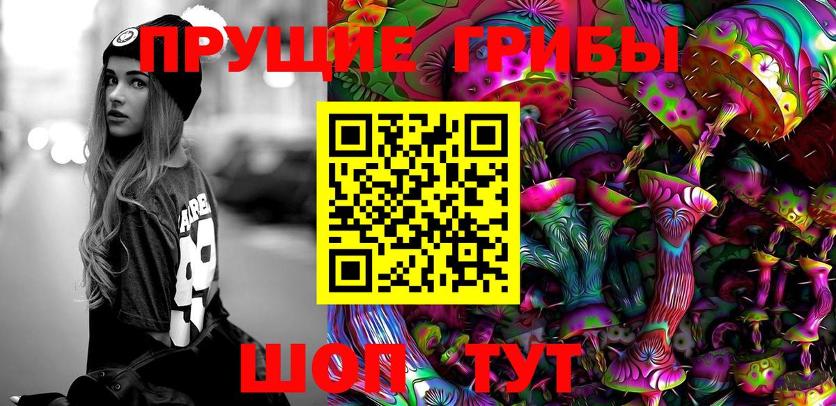 Медногорск  Галлюциногенные грибы мухоморы  Вход с VPN 